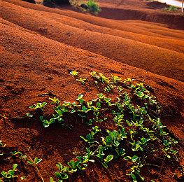 泰国武侠新作《燃烧之剑》新视频 试玩Demo已上线